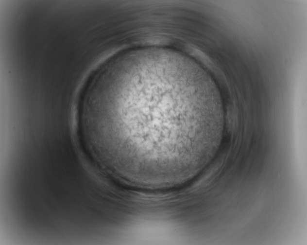 X0000089890726200707192014