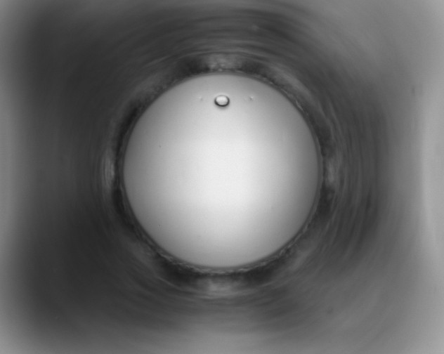 X0000089890733200707192014