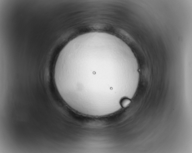 X0000089890734200707192014