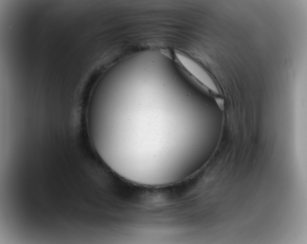 X0000089890735200707192014