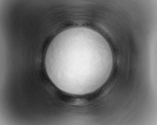 X0000089890737200707192014