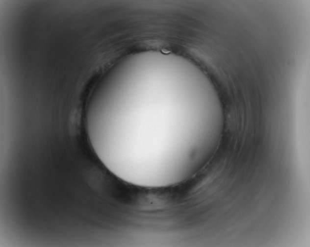 X0000089890739200707192014