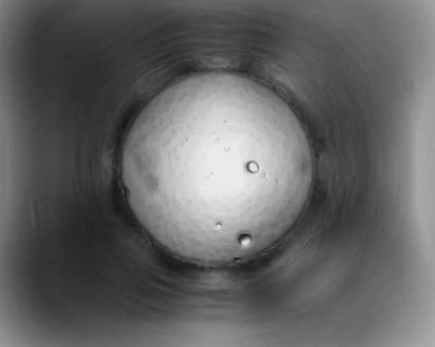 X0000089890741200707192014