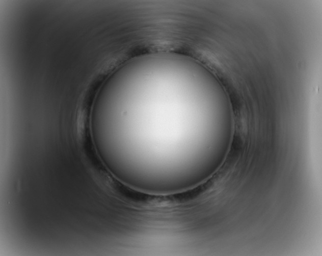 X0000089890742200707192014