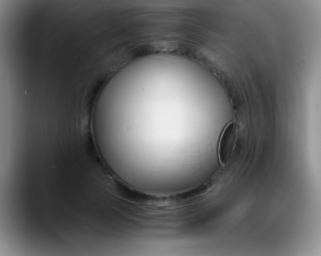 X0000089890745200707192014