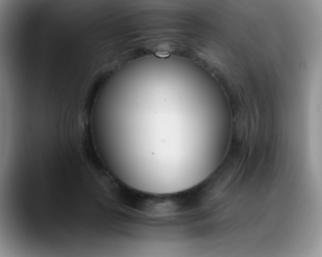 X0000089890747200707192014