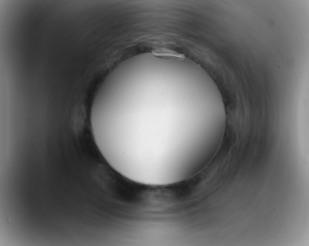 X0000089890752200707192014