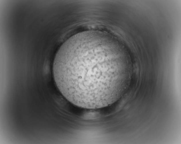 X0000089890754200707192014