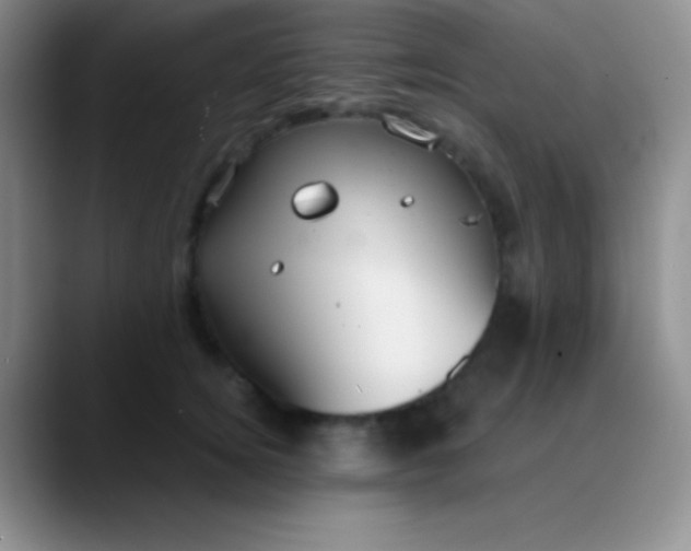 X0000089890756200707192014