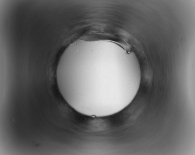 X0000089890759200707192014