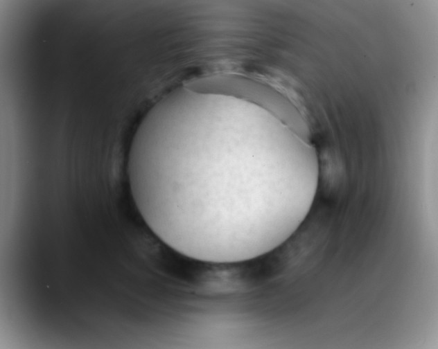 X0000089890760200707192014