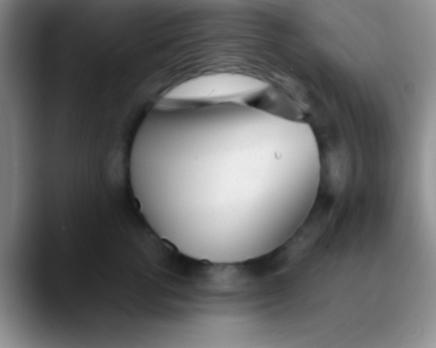 X0000089890762200707192014