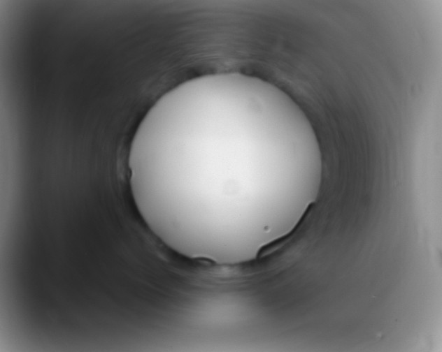 X0000089890768200707192014