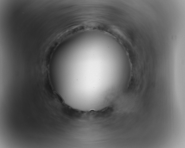 X0000089890773200707192014