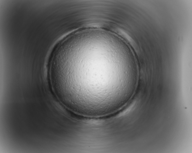 X0000089890779200707192013