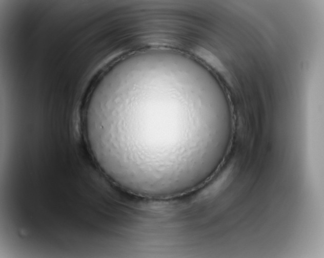 X0000089890782200707192013