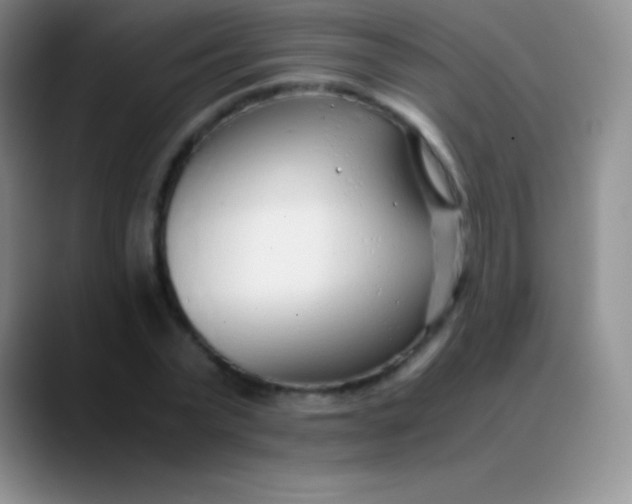 X0000089890783200707192013