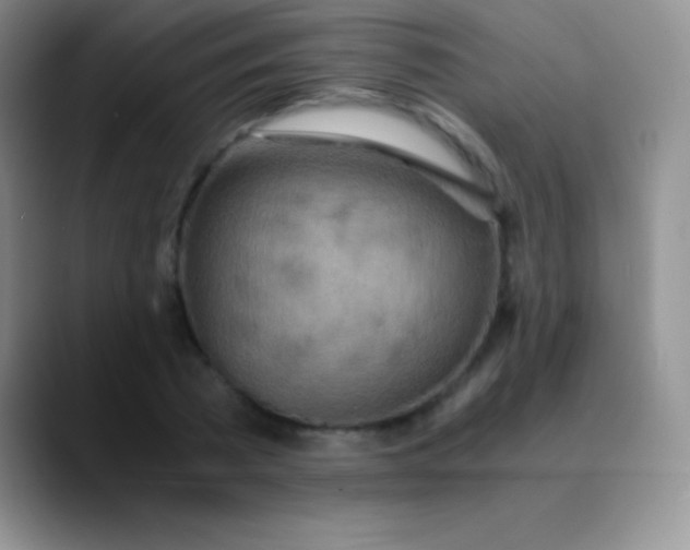 X0000089890785200707192013