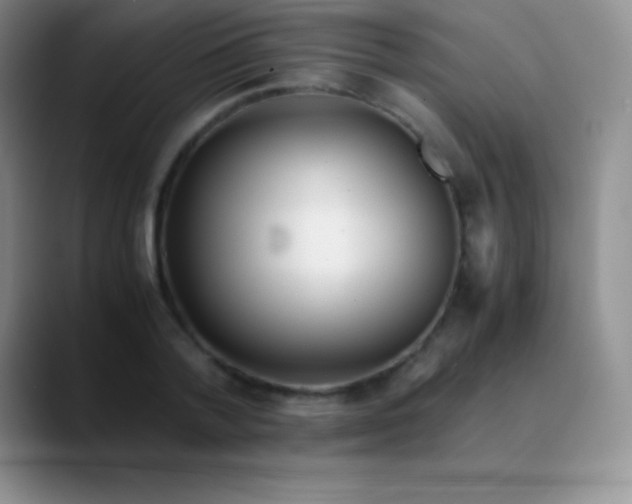 X0000089890788200707192013