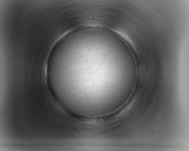 X0000089890790200707192013