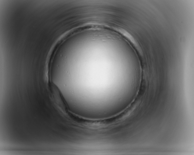 X0000089890791200707192013