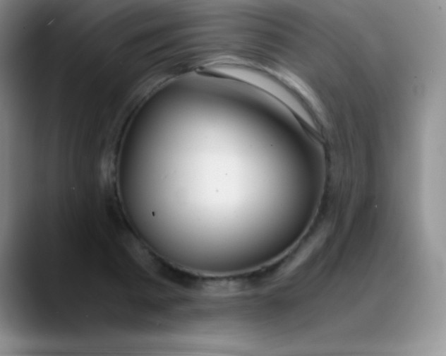 X0000089890793200707192013