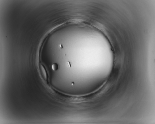 X0000089890795200707192013