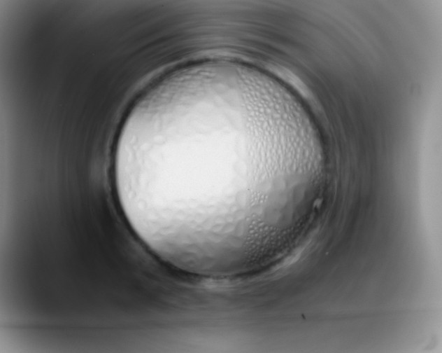 X0000089890799200707192013