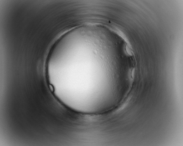 X0000089890803200707192013