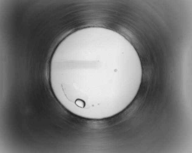 X0000089890804200707192013