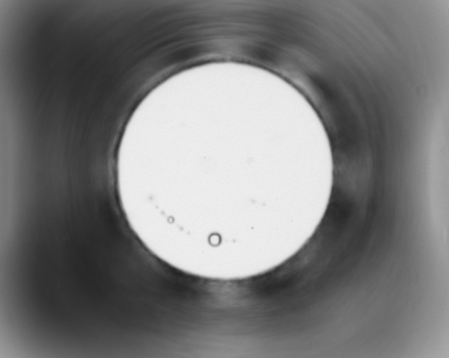 X0000089890807200707192013