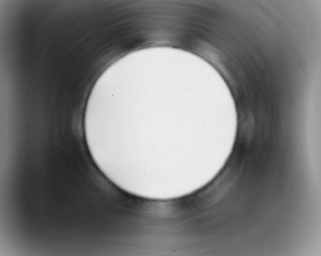 X0000089890810200707192013