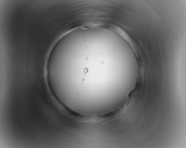 X0000089890811200707192013