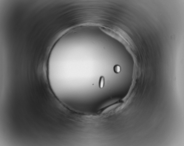 X0000089890812200707192013