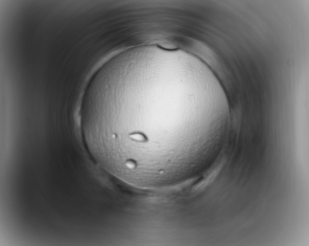 X0000089890814200707192013