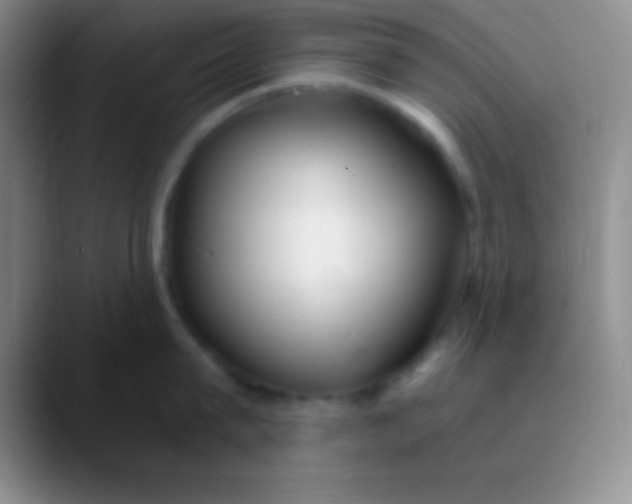 X0000089890815200707192013