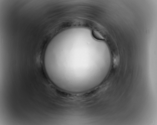 X0000089890819200707192012