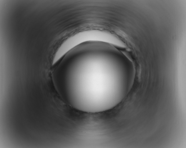 X0000089890822200707192013