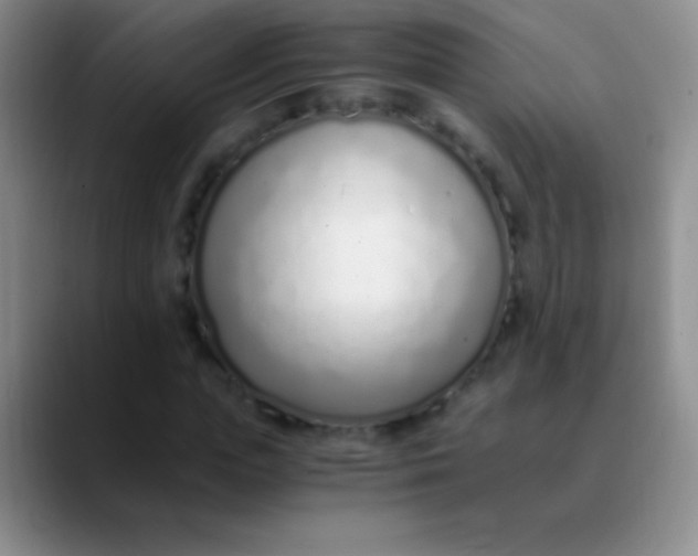 X0000089890823200707192013