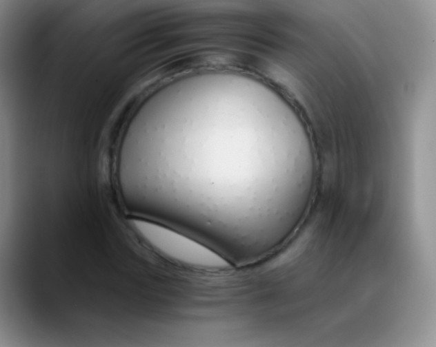 X0000089890827200707192013