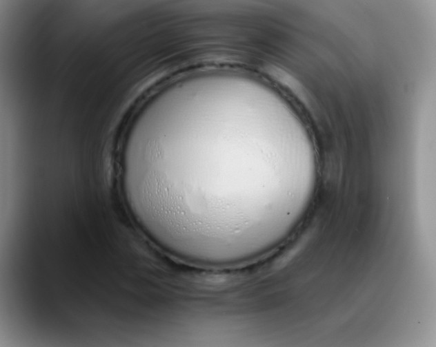 X0000089890829200707192013