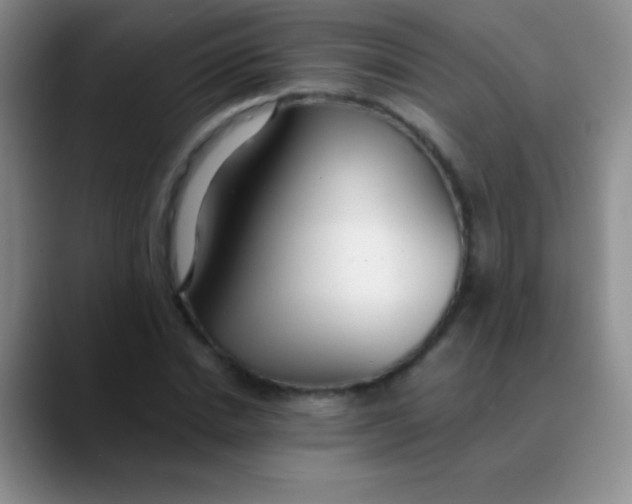 X0000089890830200707192013