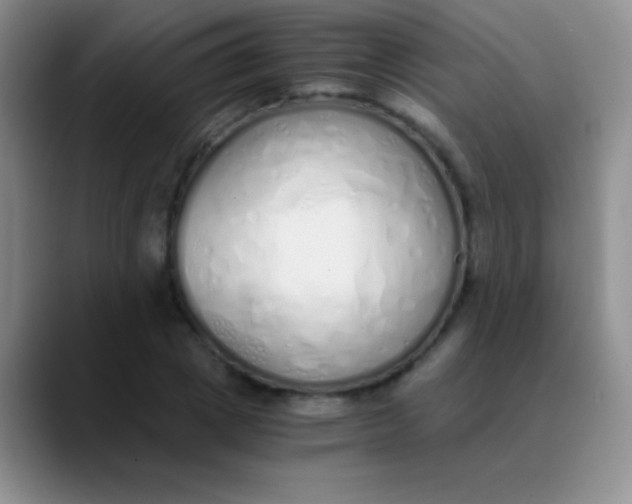 X0000089890833200707192013