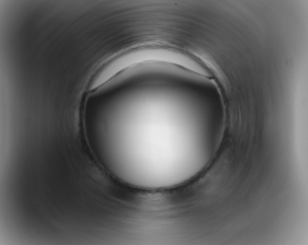 X0000089890834200707192013