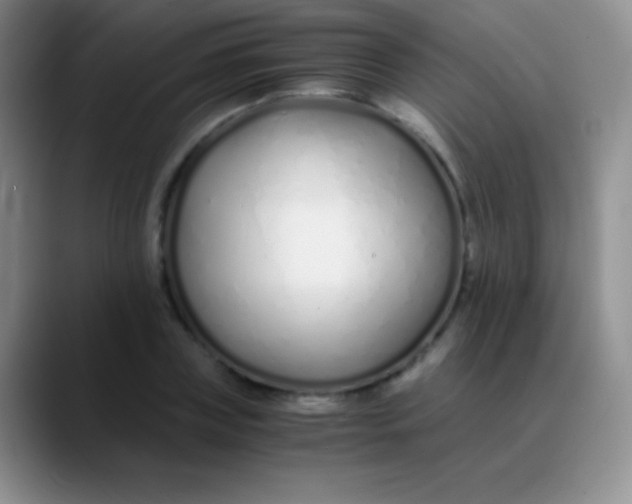 X0000089890835200707192013