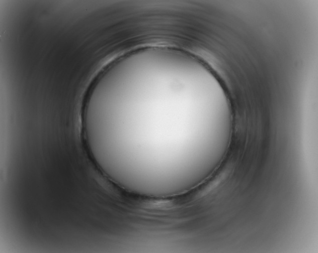 X0000089890837200707192013