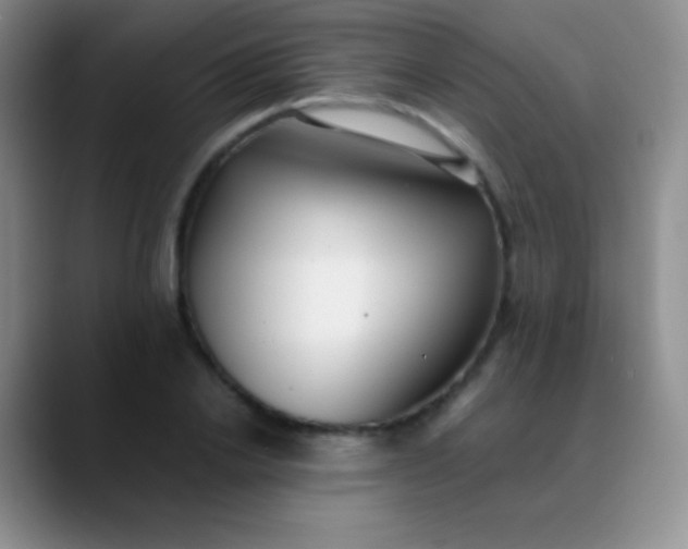 X0000089890838200707192013