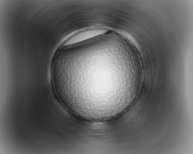 X0000089890839200707192013