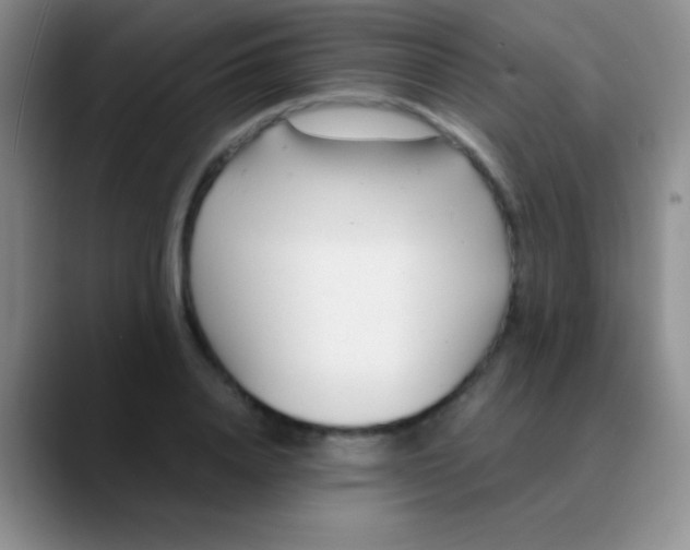 X0000089890840200707192013