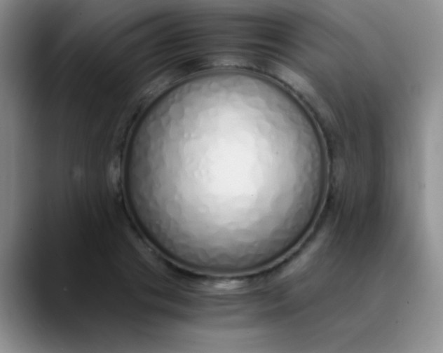 X0000089890841200707192013